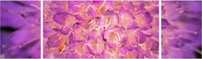 Szczegółowy obraz kwiatu (170x50 cm)