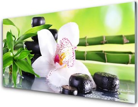 Szkło Dekoracyjne do Kuchni Orientalna Kompozycja z Bambusem