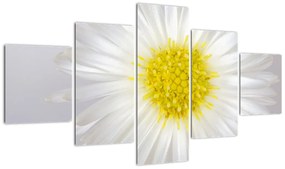 Obraz - Margarita (125x70 cm)