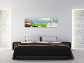 Obraz - Spa and relakx (170x50 cm)