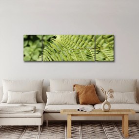 Obraz - Liść paproci (170x50 cm)
