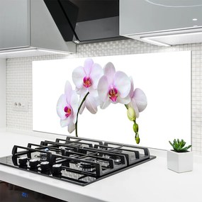 Szkło do Kuchni na Ścianę Szlachetny Kwiat Storczyka
