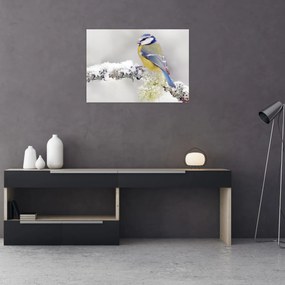 Obraz na szkle - Sikora modraszka w lesie (70x50 cm)