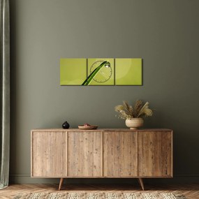 Obraz kropli wody na trawie (z zegarem) (90x30 cm)