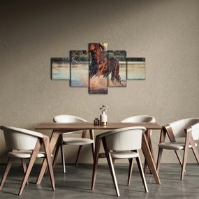 Obraz - Biegnący koń (125x70 cm)