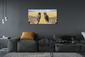 Obraz drukowany na płótnie Zebry na Polu