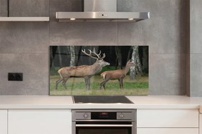 Panel Szklany Jeleń w Gęstwinie Leśnej