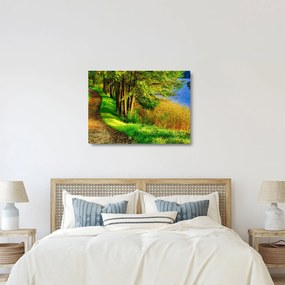 Obraz na szkle szlaku wzdłuż wody (70x50 cm)