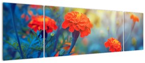 Obraz - Pomarańczowe kwiaty (170x50 cm)