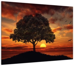 Obraz na szkle drzewa o zachodzie słońca (70x50 cm)