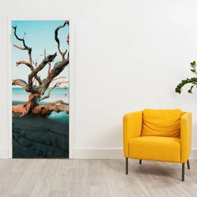 Fototapeta na drzwi - Wypłynęło na plaży (95x205cm)