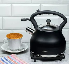 Czarny matowy czajnik z gwizdkiem 2,7L L5-A87