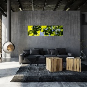 Obraz - liście klonu (170x50 cm)
