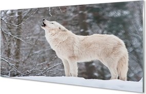 Panel Szklany Dziki Wilk w Zimowej Aurze