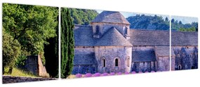 Obraz - Lewandowe pole (170x50 cm)