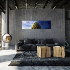 Obraz - Dzień i noc (170x50 cm)