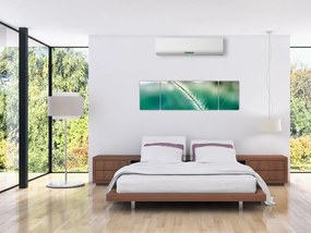 Obraz źdźbła trawy (170x50 cm)