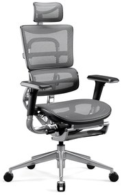 Fotel ergonomiczny Diablo V-Master, czarno-szary