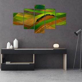 Obraz - Pola, łąki (125x70 cm)