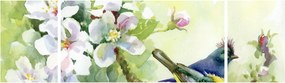 Obraz - Wiosna (170x50 cm)