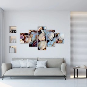 Obraz muszelek (125x70 cm)