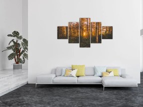 Obraz jesiennego lasu (125x70 cm)