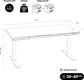 Biurko elektryczne sit-stand z szufladą i ładowarką bezprzewodową Qi białe, 1600 mm: ELLIS