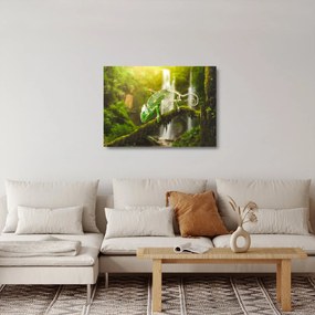 Obraz na szkle - jaszczurka (70x50 cm)