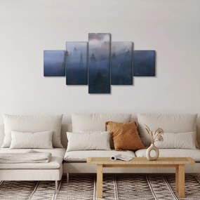 Obraz - Las we mgle, Karpaty, Ukraina (125x70 cm)