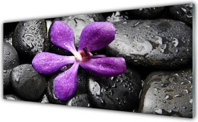 Panel Szklany Harmonijna Kompozycja Zen