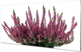 Szkło do Kuchni na Ścianę Kwiaty Wrzosu