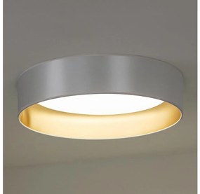 Duolla - LED Plafon ROLLER LED/24W/230V śr. 45 cm srebrny/złoty