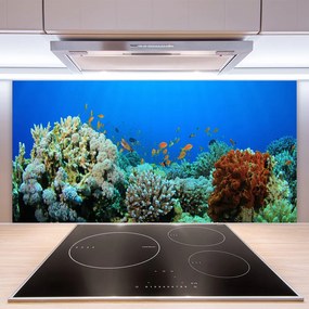 Panel Szklany do Kuchni Kolorowe Życie Oceanu