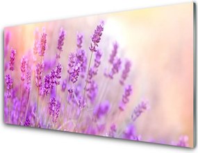 Panel Szklany Słoneczny Dzień na Polu Lawendy