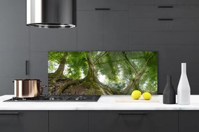 Panel Szklany do Kuchni Korony Rozłożystych Drzew