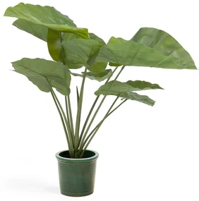 Sztuczna roślina (wysokość 57 cm) Odora – Kave Home