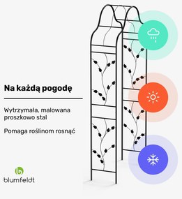 Blumfeldt FloraBelle Cupola pergola łukowa do róż