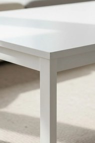 Stó centralny Tian 120x60cm biay