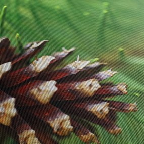 Obraz szyszki (170x50 cm)