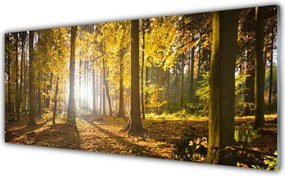 Panel Szklany do Kuchni Głęboka Zieleń Leśnych Liści