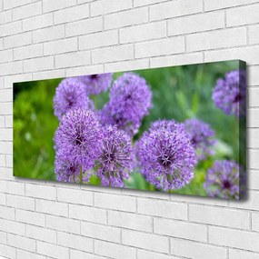 Obraz canvas Fioletowa Łąka Kwiatowa