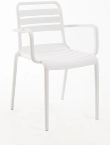 Krzeso Belia z ramionami