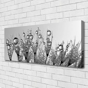 Obraz canvas na ścianę Botaniczna Forma Abstrakcyjna