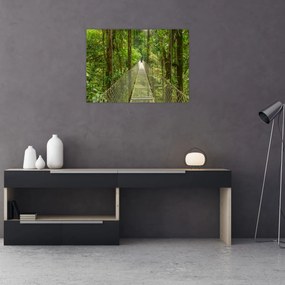 Obraz - Most wiszący (70x50 cm)
