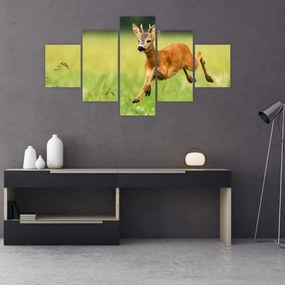 Obraz - Sarna (125x70 cm)