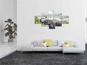 Obraz - Kąpiący się słoń (125x70 cm)