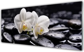 Panel Szklany do Kuchni Biały Storczyk w Klimacie Zen