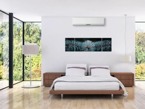 Obraz gałązki drzewa iglastego (170x50 cm)