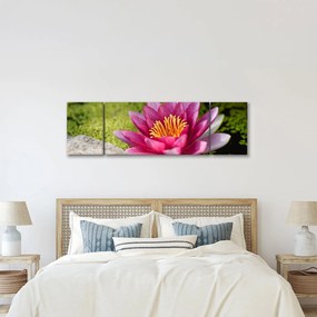 Obraz - Lilia wodna (170x50 cm)