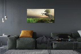 Obraz drukowany na płótnie Jednorożec na Polu